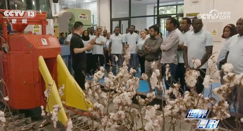 1xBET·Signup(中国区)-官方网站