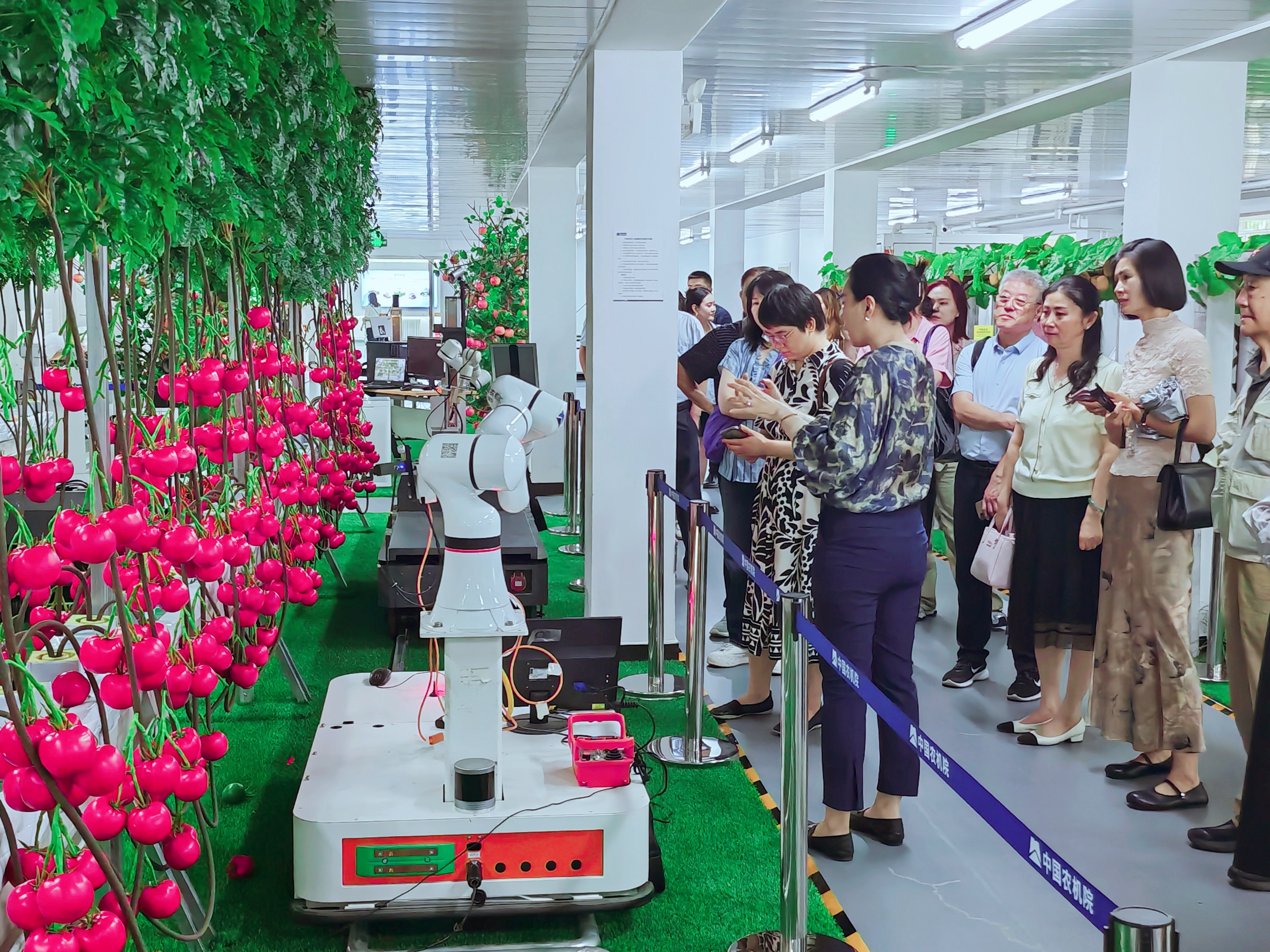 1xBET·Signup(中国区)-官方网站