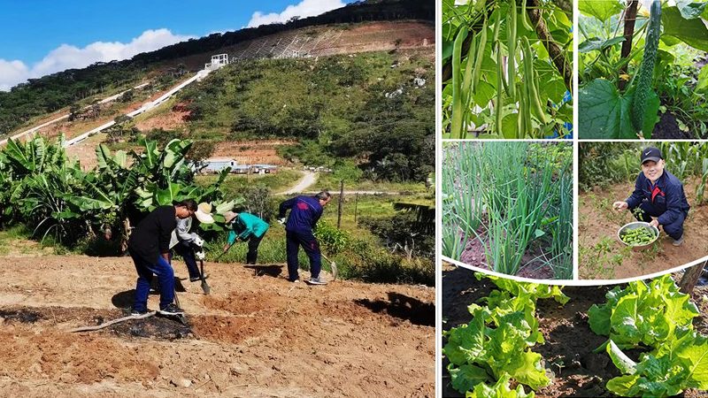 1xBET·Signup(中国区)-官方网站